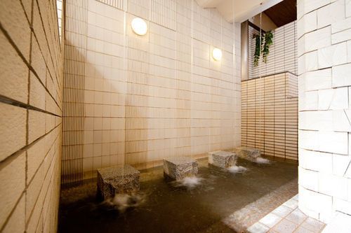 傳統日式旅館 Yudanaka 3*